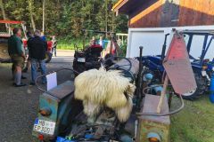 211002-Taubenbergausfahrt_100545