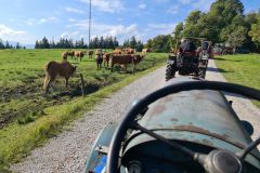 211002-Taubenbergausfahrt_105449