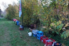 20181012_174257