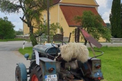 Vatertagsausfahrt 300519 (17)